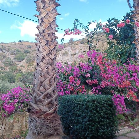 Heraklion Comfy House With Mountain View ภายนอก รูปภาพ