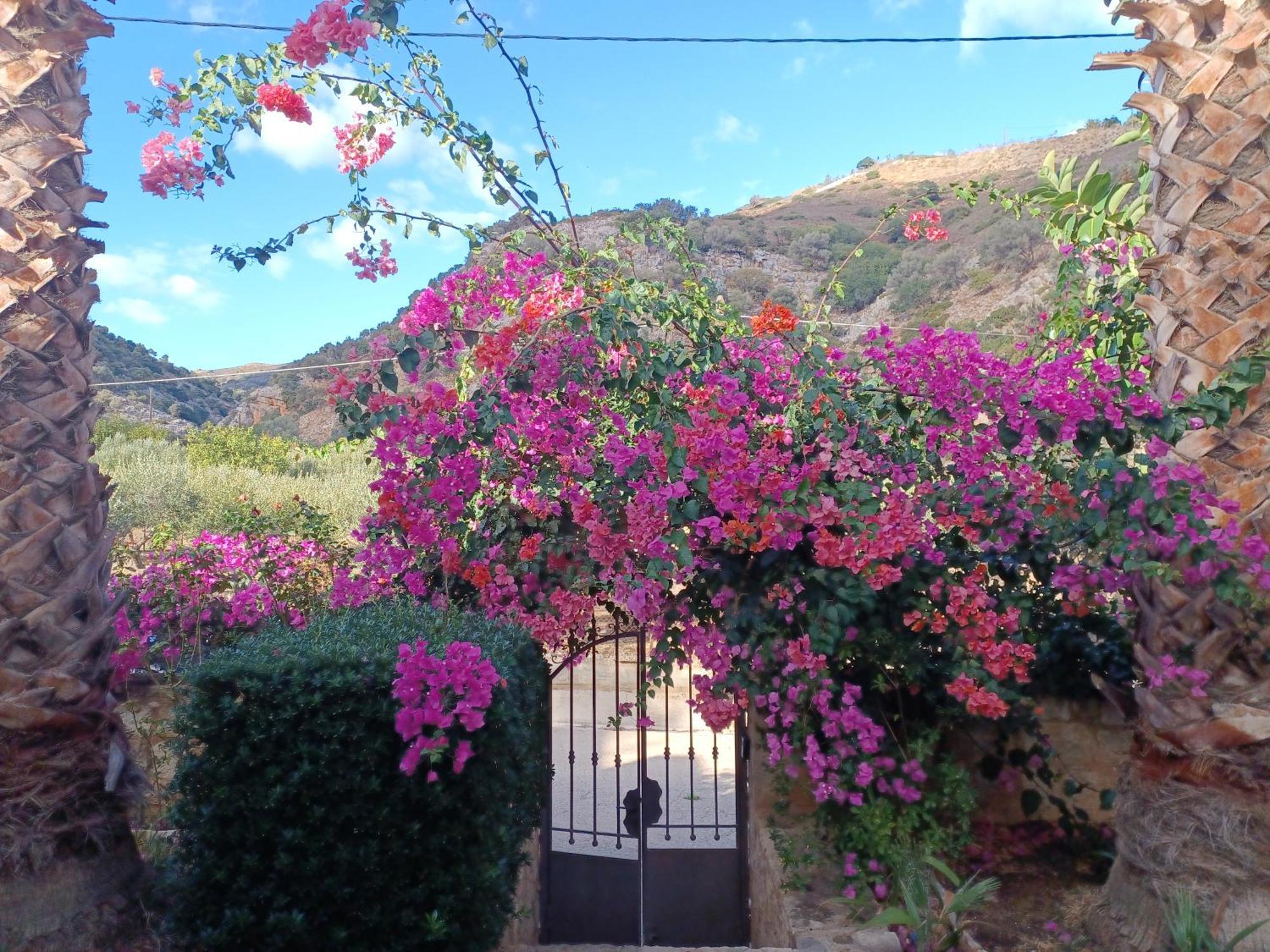 Heraklion Comfy House With Mountain View ภายนอก รูปภาพ