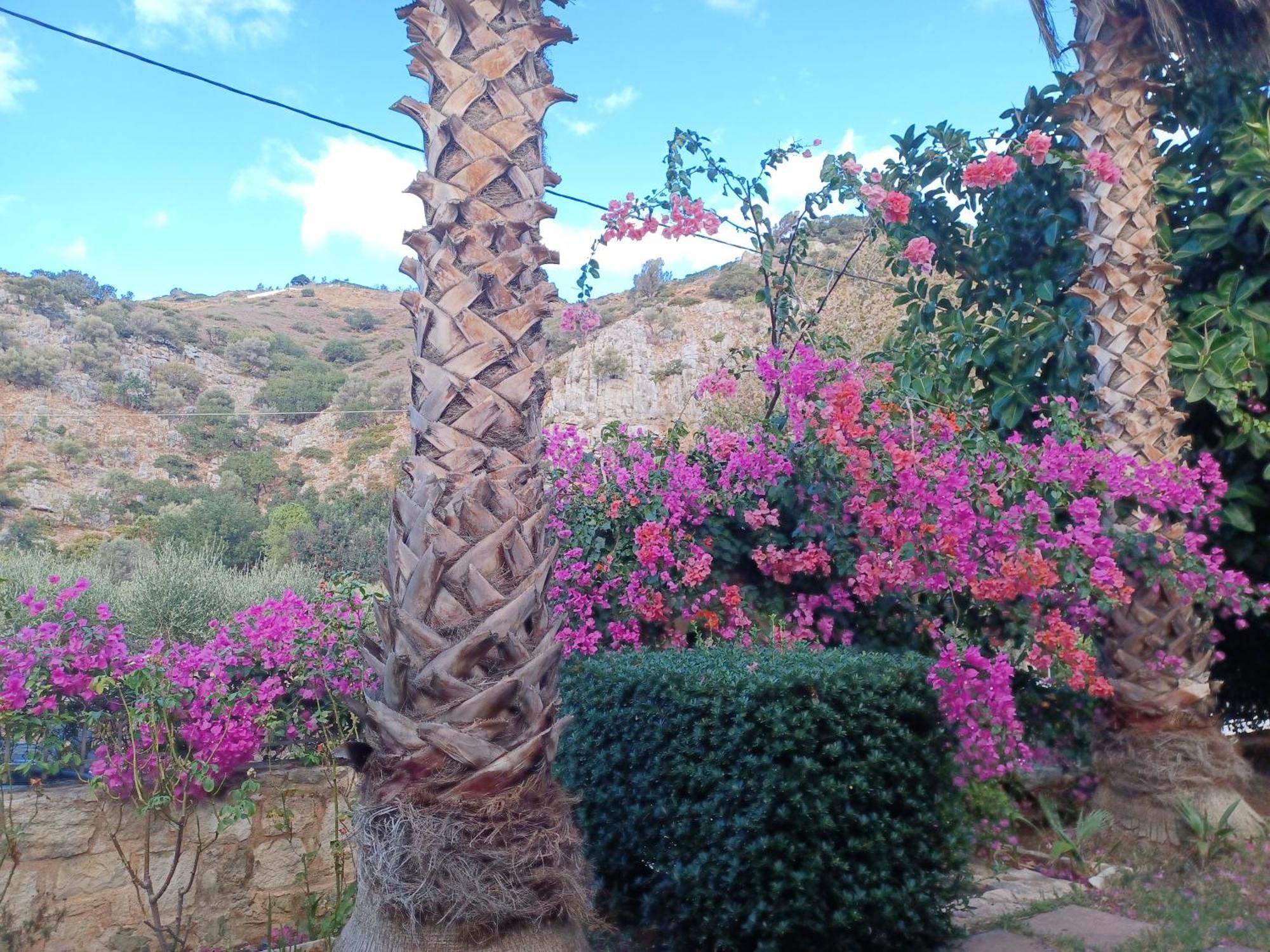 Heraklion Comfy House With Mountain View ภายนอก รูปภาพ