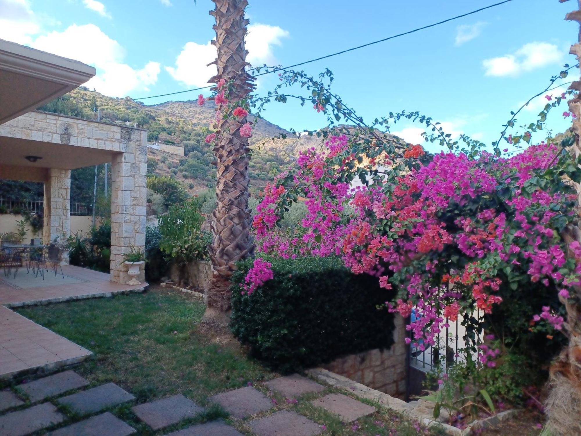 Heraklion Comfy House With Mountain View ภายนอก รูปภาพ